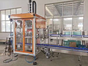Carton Pick And Place Packaging Machine