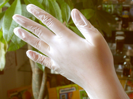 Transparent Vinyl Gloves